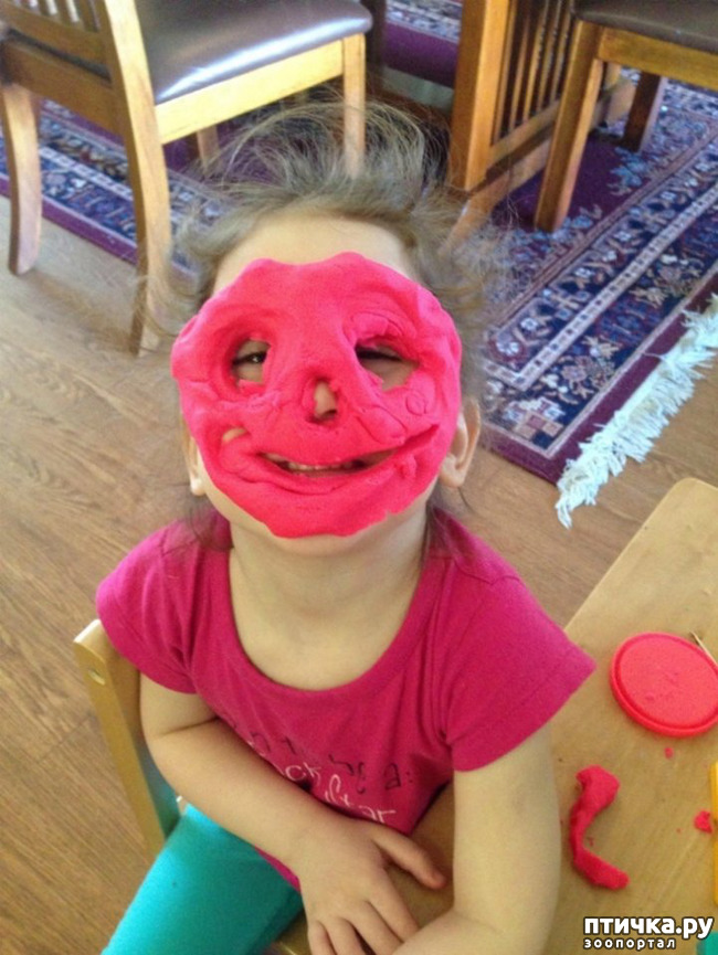 ���� 2: ���� �� ���������