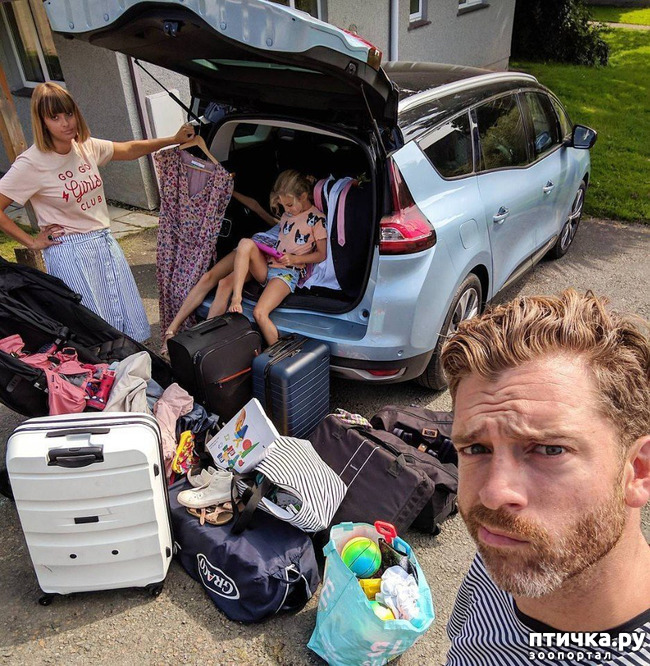 ���� 3: ���� �� ���������