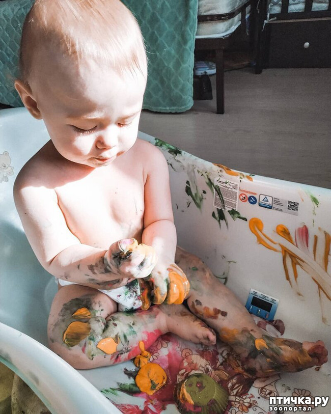 ���� 4: ���� �� ���������