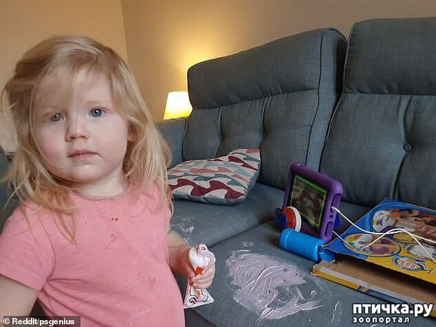 ���� 5: ���� �� ���������