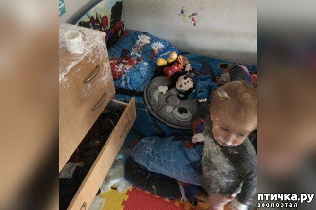 ���� 7: ���� �� ���������