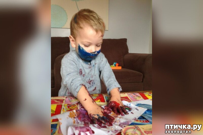 ���� 8: ���� �� ���������