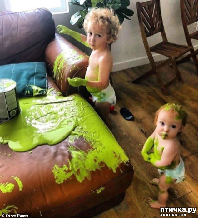 ���� 9: ���� �� ���������