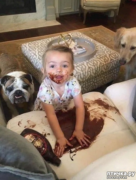 ���� 10: ���� �� ���������