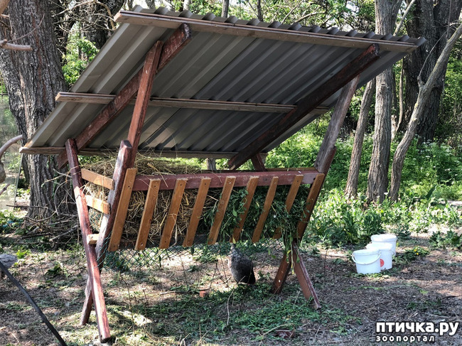 ���� 2: ����� ��������