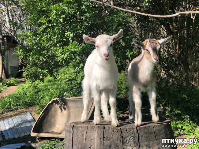 ���� 7: ����� ��������