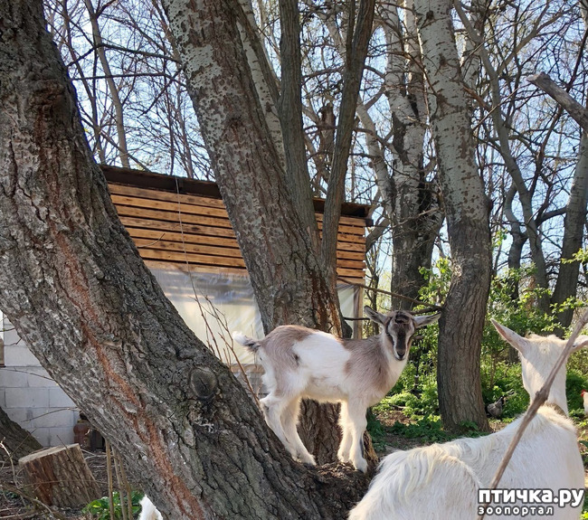 ���� 8: ����� ��������