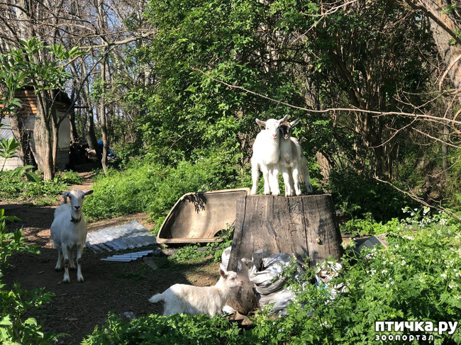 ���� 9: ����� ��������