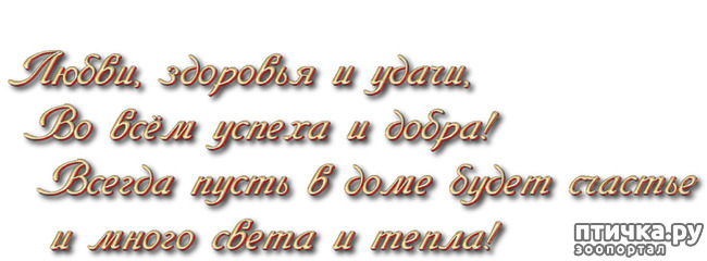 ���� 11: �������, �������� ���, � ���� �������� ����, �������!
