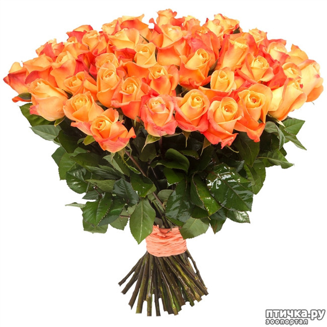 ���� 12: �������, �������� ���, � ���� �������� ����, �������!