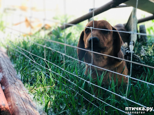 ���� 10: ����� ��������