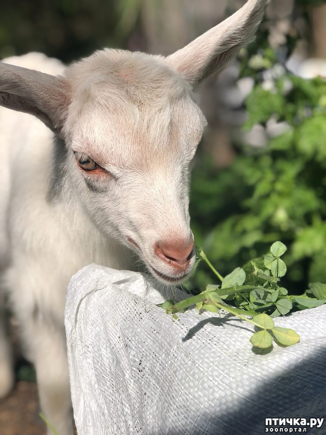 ���� 11: ����� ��������