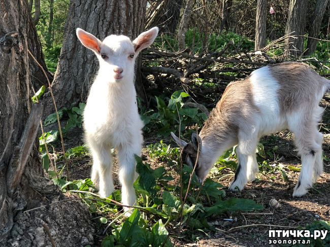 ���� 12: ����� ��������