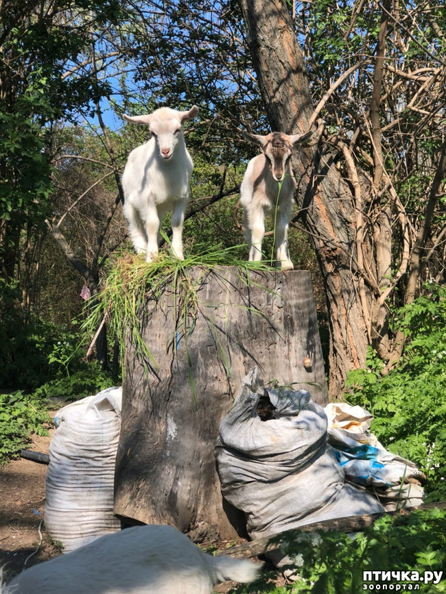 ���� 14: ����� ��������