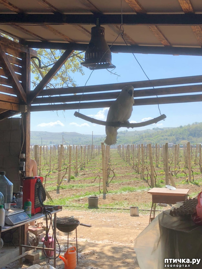 ���� 15: ����� ��������