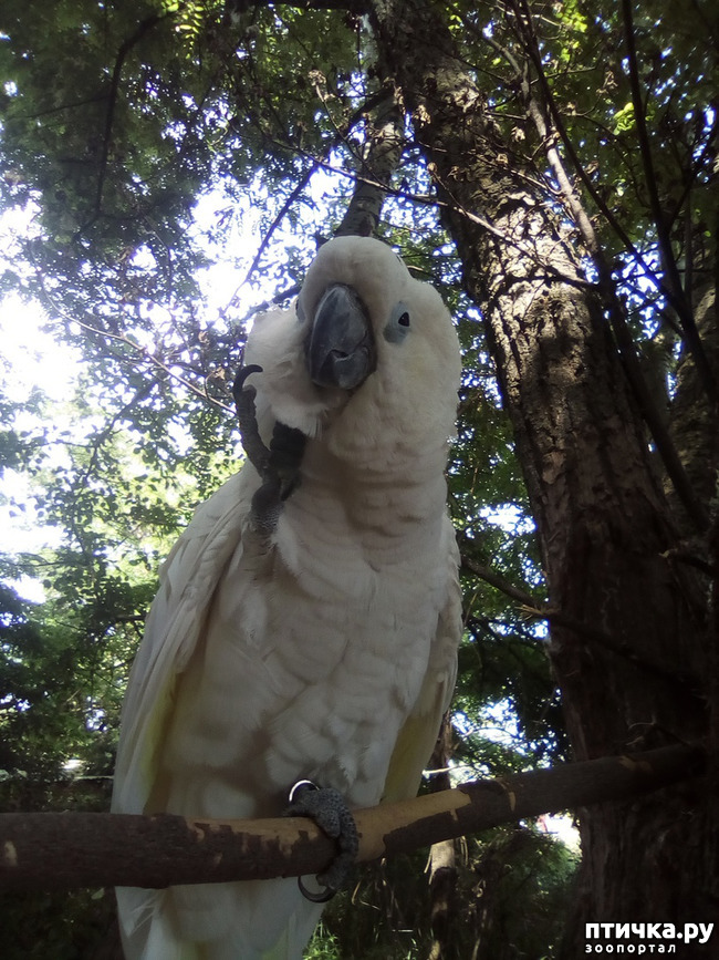 ���� 16: ����� ��������