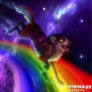 ����: ����� �� ������