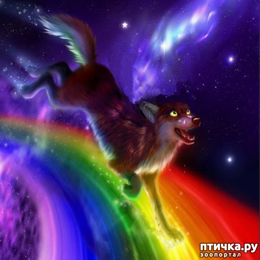 ���� 1: ����� �� ������