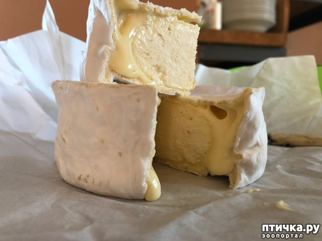 ���� 20: ����� ��������