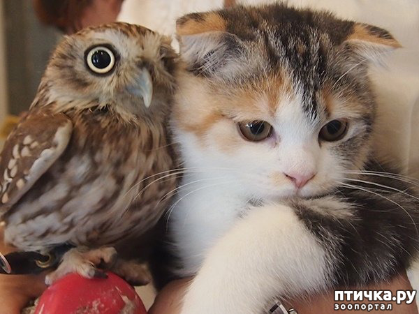 ���� 2: ����� ������ ����� ������...