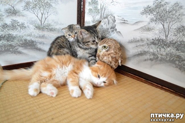 ���� 3: ����� ������ ����� ������...