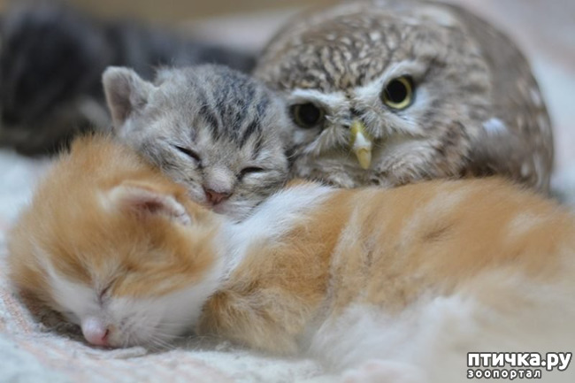 ���� 4: ����� ������ ����� ������...