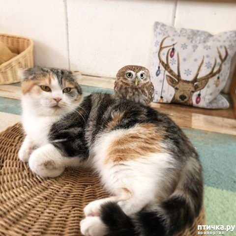 ���� 5: ����� ������ ����� ������...