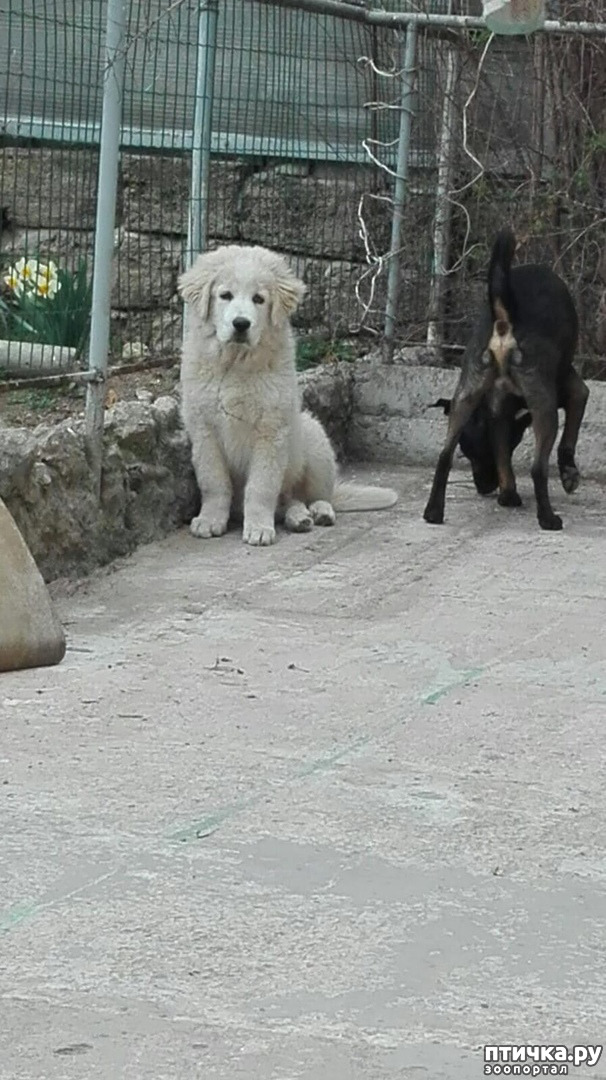 ���� 21: ����� ��������