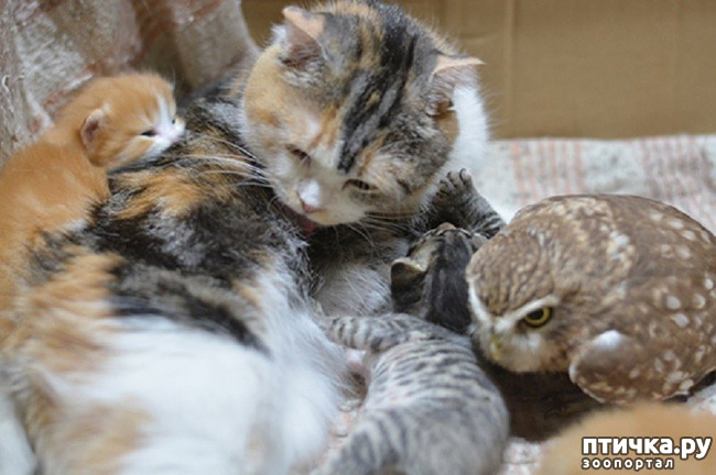 ���� 6: ����� ������ ����� ������...