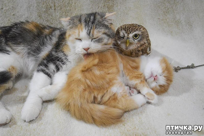 ���� 7: ����� ������ ����� ������...