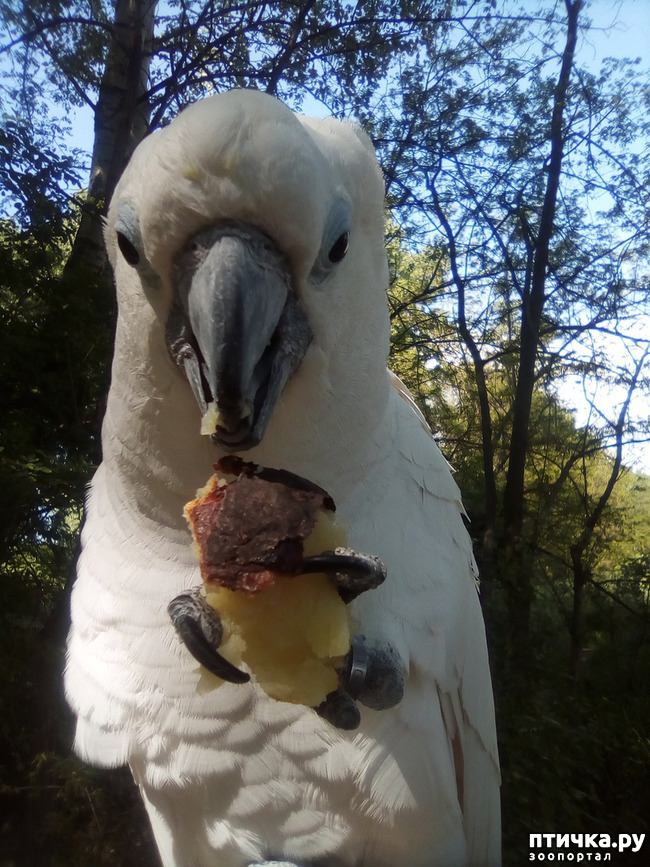 ���� 17: ����� ��������