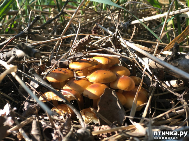 ���� 22: ����� ��������