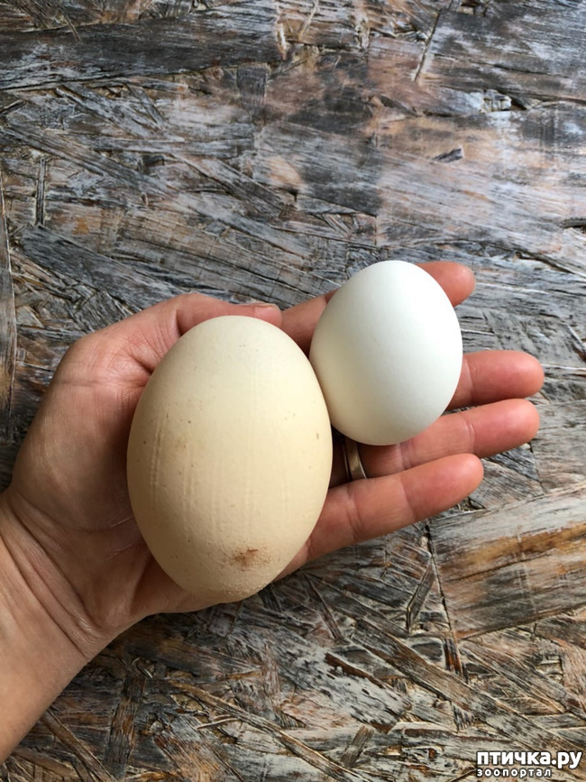 ���� 23: ����� ��������