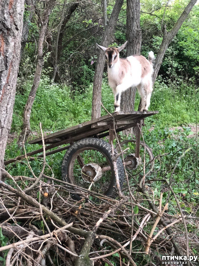 ���� 13: ����� ��������