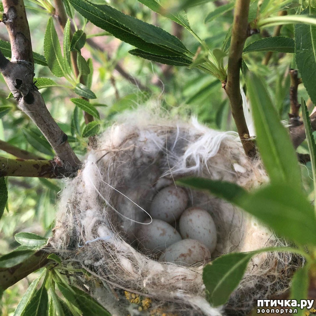 ���� 25: ����� ��������