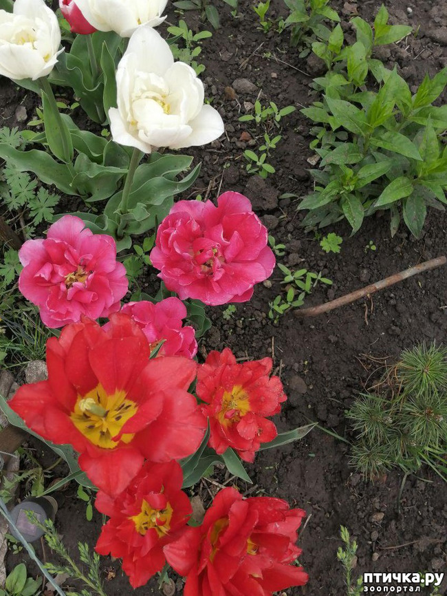 ���� 2: ���