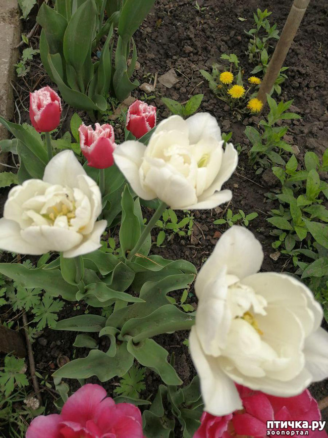 ���� 3: ���