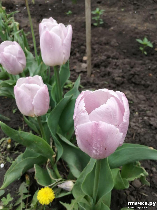 ���� 4: ���