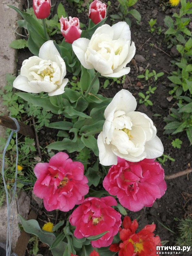 ���� 5: ���