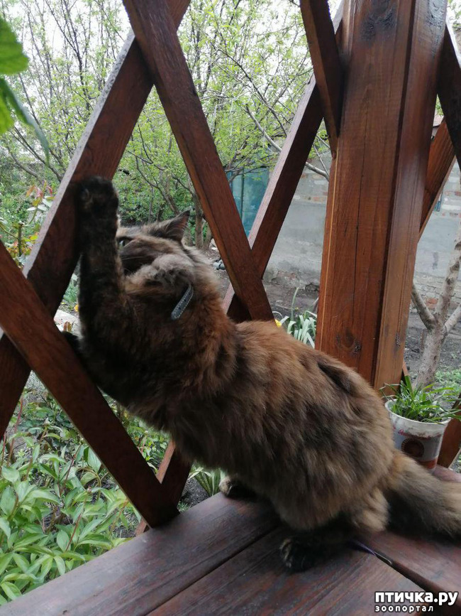 ���� 6: ���