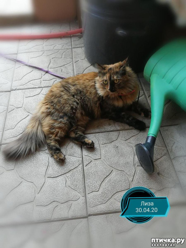 ���� 7: ���