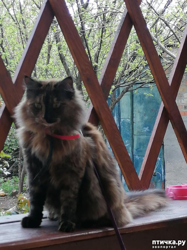 ���� 8: ���