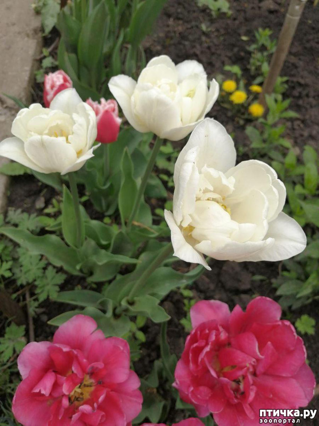 ���� 10: ���