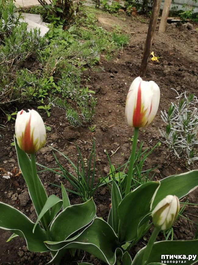 ���� 11: ���