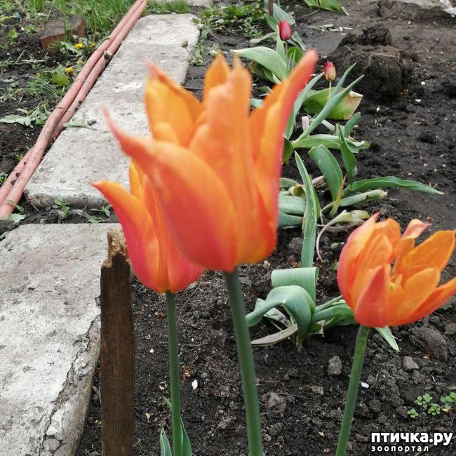 ���� 12: ���