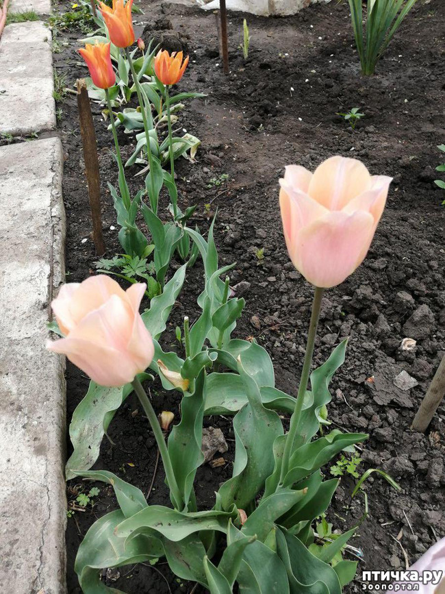 ���� 13: ���