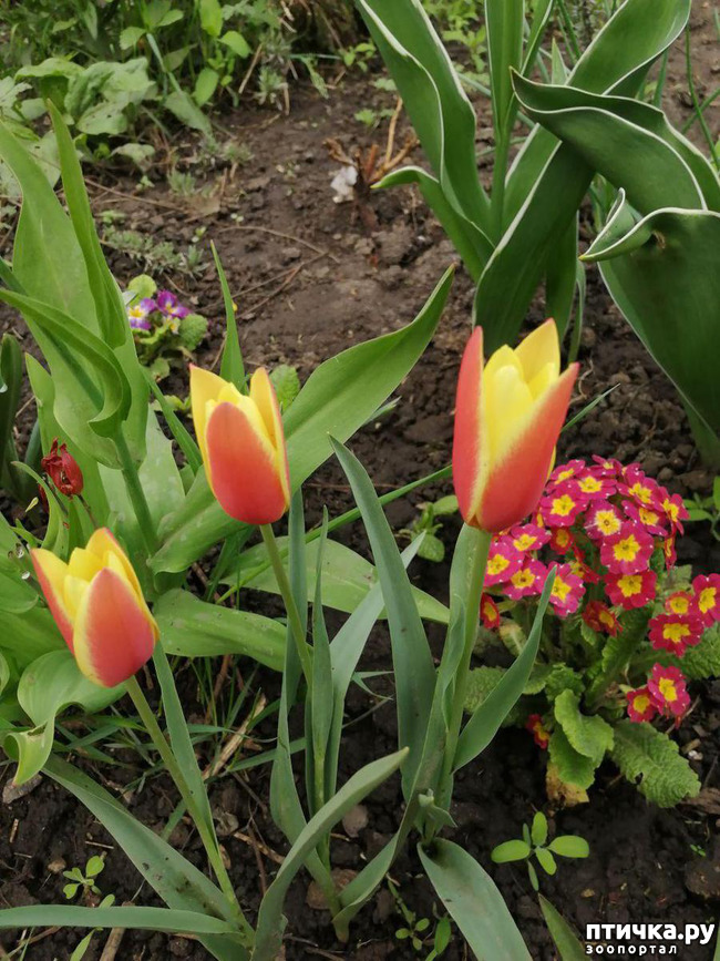 ���� 14: ���