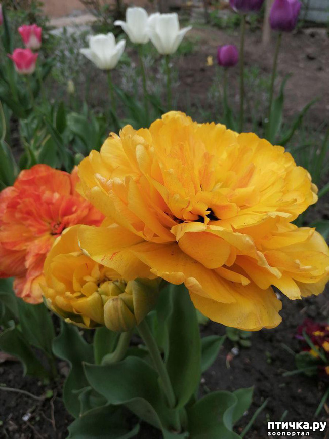 ���� 18: ���