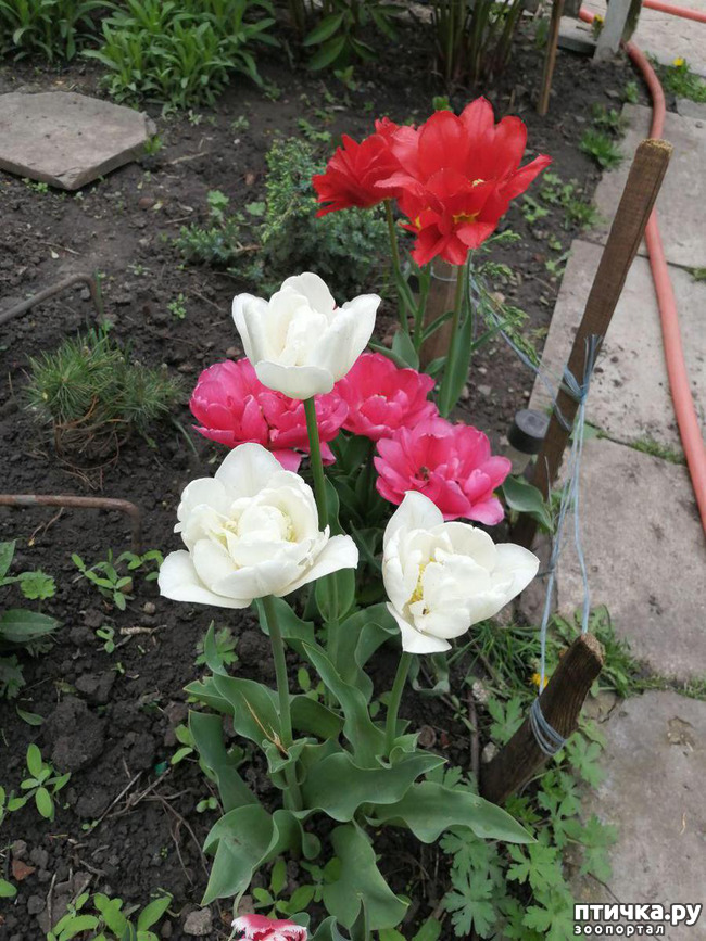 ���� 19: ���