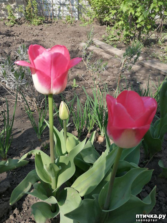 ���� 20: ���